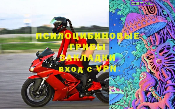 дживик Новодвинск