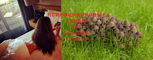 MESCALINE Новозыбков